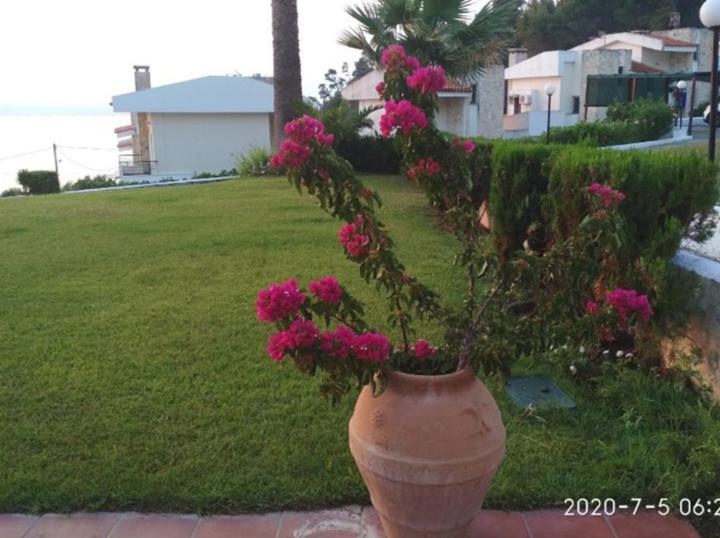 Yades Elegant 2 Minutes Away From The Case de vacanță *