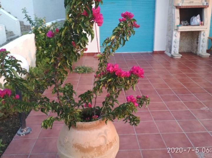 Case de vacanță Yades Elegant 2 Minutes Away From The Kallithea (Chalkidiki)