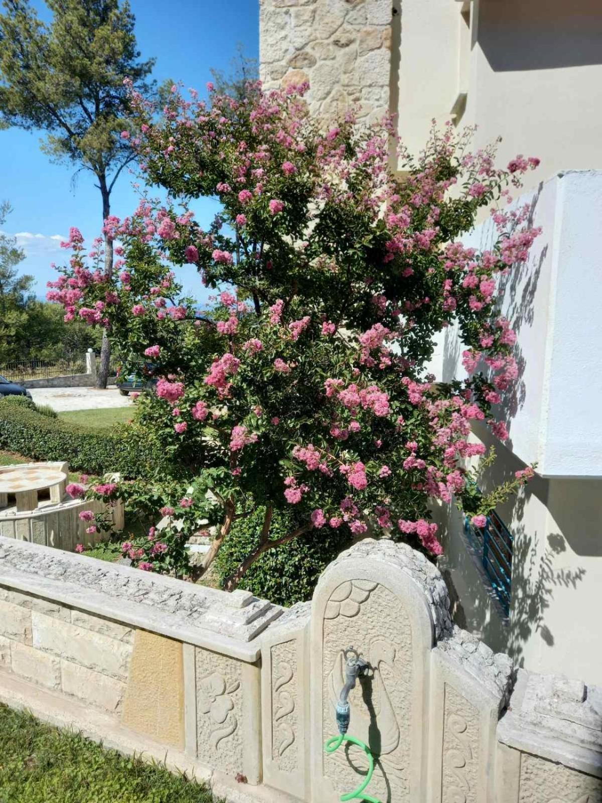 Case de vacanță Yades Elegant 2 Minutes Away From The Kallithea (Chalkidiki)